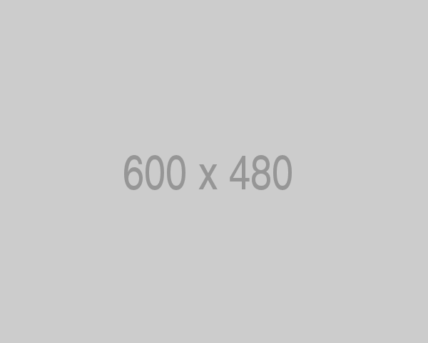 Seguro de <b>Automóveis</b>